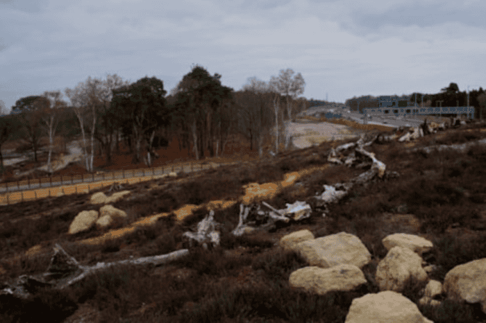 National Highways opens UK’s first heathland green bridge over A3 in Surrey