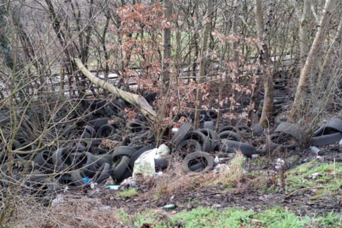 Tires and debris dumped in a wooded area near trees and bushes.